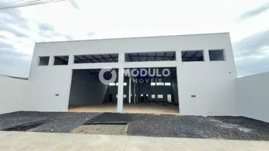 Galpão/Depósito/Armazém para alugar, 460m² no Segismundo Pereira, Uberlândia
