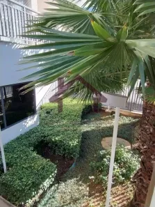 Apartamento com 2 Quartos à venda, 64m² no Vila Guarani (Z Sul), São Paulo
