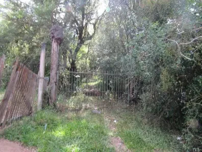 Fazenda/Sítio à venda, 53851m² no Pitinga, Porto Alegre