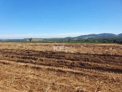 Fazenda/Sítio à venda, 230000m² no Área Rural de Ribeirão Preto, Ribeirão Preto