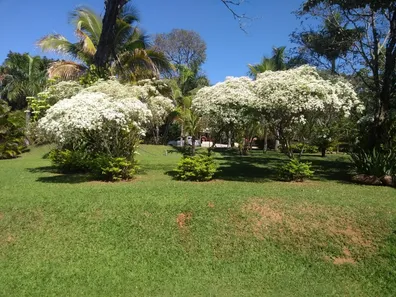 Fazenda/Sítio com 3 Quartos à venda, 5000m² no Jardim Encantado, São José da Lapa