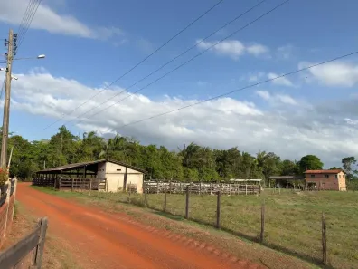 Fazenda/Sítio com 1 Quarto à venda, 560000m² no , Santa Rita