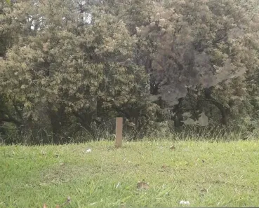 Lote/Terreno à venda, 10m² no Tarumã, Santana de Parnaíba