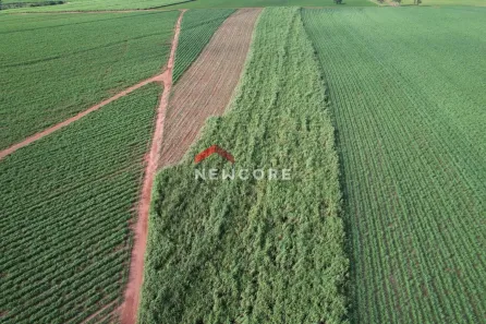 Fazenda/Sítio com 1 Quarto à venda, 731000000m² no , Jaguapitã