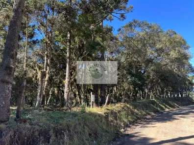 Fazenda/Sítio com 1 Quarto à venda, 8310m² no Centro, Campo Alegre
