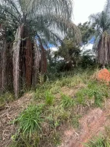Lote/Terreno à venda, 21000m² no , Caeté