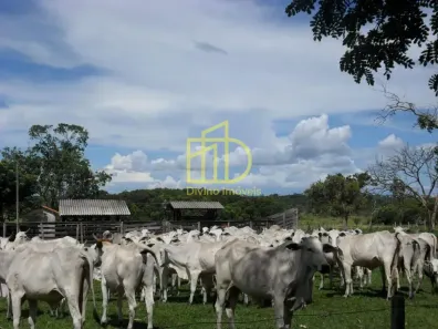 Fazenda/Sítio à venda, 10m² no Bataguassu, Bataguassu