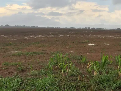 Fazenda/Sítio à venda, 26400000m² no Centro, Redenção do Gurguéia