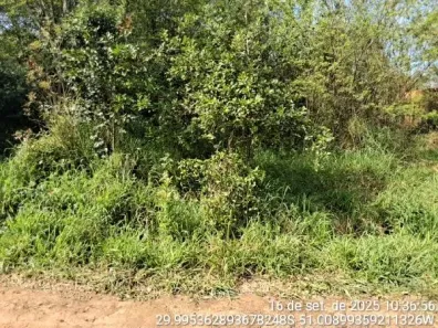 Lote/Terreno à venda, 365m² no Tijuca, Alvorada