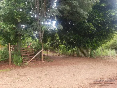 Fazenda/Sítio à venda, 24200m² no , Ibiporã