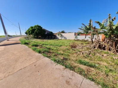 Lote/Terreno à venda, 300m² no Califórnia, Londrina