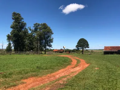 Fazenda/Sítio com 5 Quartos à venda, 11000000m² no Centro, Dourados