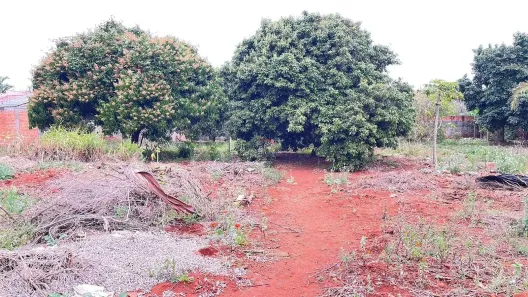 à venda, 10m² no Vila Oliveira, Rolândia