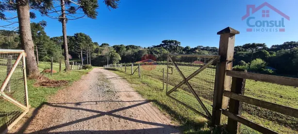 Fazenda/Sítio com 6 Quartos à venda, 30000m² no Centro, Balsa Nova