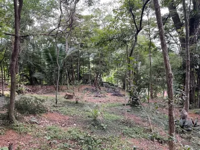 Lote/Terreno à venda, 5000m² no Freguesia (Jacarepaguá), Rio de Janeiro
