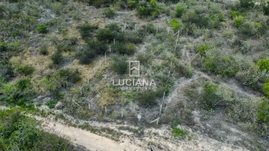 Lote/Terreno à venda, 450m² no Sem bairro, Sairé