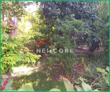 Casa com 3 Quartos à venda, 300m² no Residencial Bela Vista II (Zona Rural), São José do Rio Preto