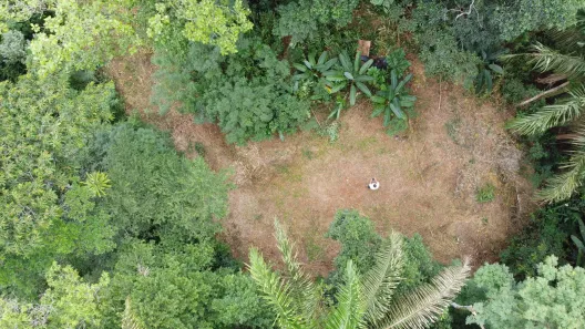 Lote/Terreno à venda, 16050m² no Vila dos Ferroviarios, Morretes