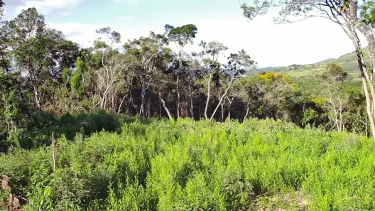 Lote/Terreno à venda, 1000m² no Saboó, São Roque