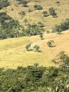 Fazenda/Sítio à venda, 17m² no Ronelândia, Cromínia