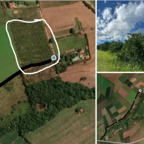 Fazenda/Sítio à venda, 39820m² no Centro, Conchal