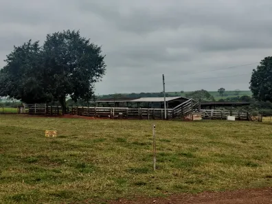 Fazenda/Sítio à venda, 1597200m² no , José Bonifácio