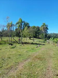 Fazenda/Sítio com 1 Quarto à venda, 15m² no , São José do Hortêncio