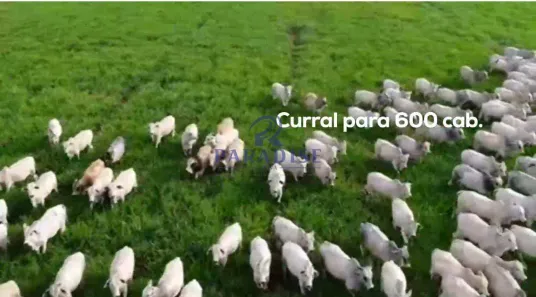 Fazenda/Sítio à venda, 2589m² no , Santa Helena de Goiás