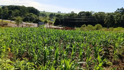 Lote/Terreno à venda, 435m² no Guatambú, Guatambú