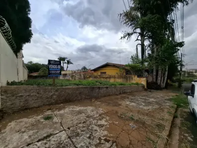 Lote/Terreno à venda, 504m² no Jardim Irajá, Ribeirão Preto