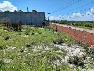 Lote/Terreno à venda, 2500m² no Coqueiros de Arembepe (Abrantes), Camaçari