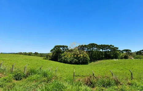 Fazenda/Sítio com 1 Quarto à venda, 74721m² no Ferraria, Campo Largo