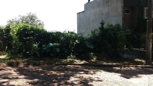 Lote/Terreno à venda, 301m² no Sétimo Céu, Porto Alegre