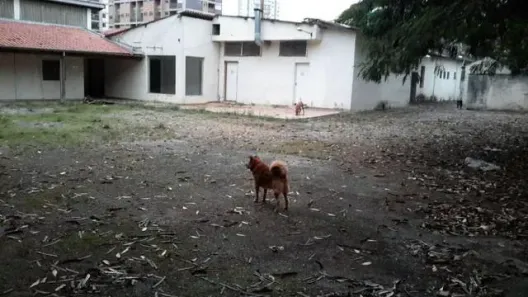 Lote/Terreno à venda, 3620m² no Centro, São José dos Campos
