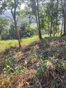 Lote/Terreno à venda, 600m² no Rio do Meio, Itajaí