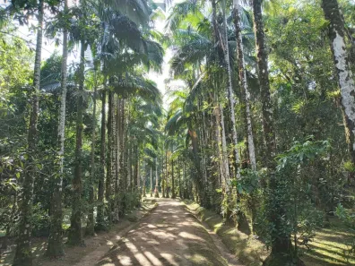 Fazenda/Sítio com 2 Quartos à venda, 306287m² no , Morretes