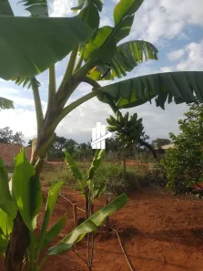 Lote/Terreno à venda, 1000m² no Serra Azul, Mateus Leme