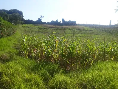 Fazenda/Sítio à venda, 5000m² no Traviú, Jundiaí