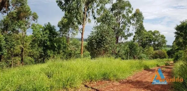 Lote/Terreno à venda, 794m² no Centro, Ponta Grossa