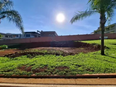 Lote/Terreno à venda, 250m² no Residencial e Empresarial Alphaville, Ribeirão Preto