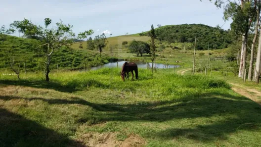 Fazenda/Sítio com 2 Quartos à venda, 820000m² no Papucaia, Cachoeiras de Macacu
