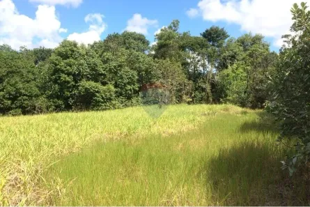 Lote/Terreno à venda, 66000m² no Riacho da Guia, Alagoinhas