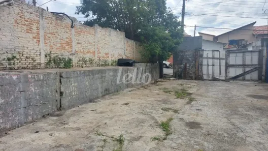 Lote/Terreno para alugar, 250m² no Vila São Luís(Zona Oeste), São Paulo