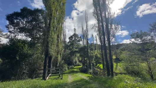 Fazenda/Sítio com 3 Quartos à venda, 25000m² no Rural, Rio Rufino