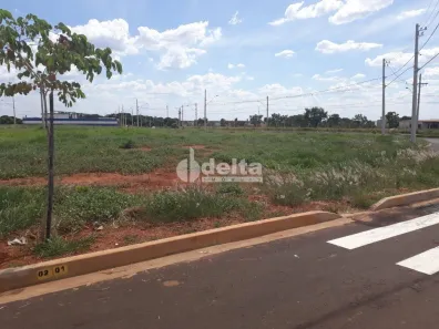 para alugar, 310m² no Minas Gerais, Uberlândia