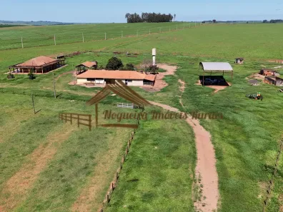 Fazenda/Sítio à venda, 1m² no Área Rural de Santa Cruz do Rio Pardo, Santa Cruz do Rio Pardo