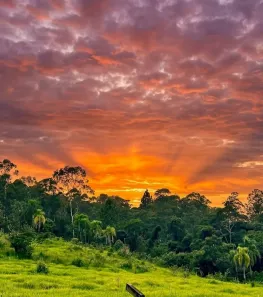 Lote/Terreno à venda, 1000m² no Saboó, São Roque