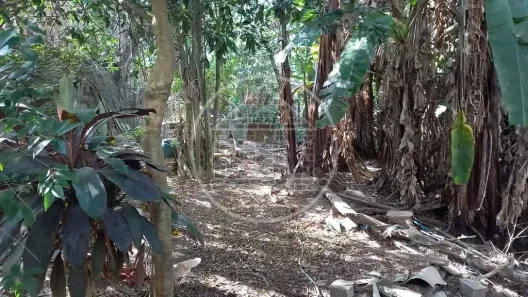 à venda, 2060m² no Vila Carmosina, São Paulo