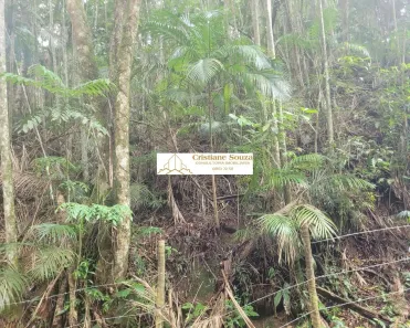 Lote/Terreno à venda, 3000m² no Fazenda Boa Fé, Teresópolis
