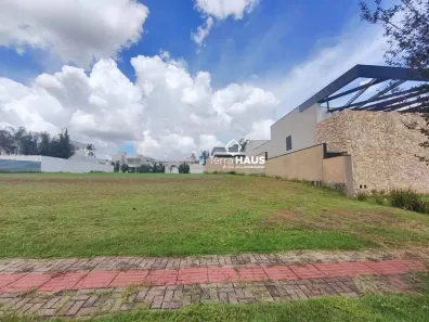 Lote/Terreno à venda, 434m² no Alphaville Campo Grande, Campo Grande